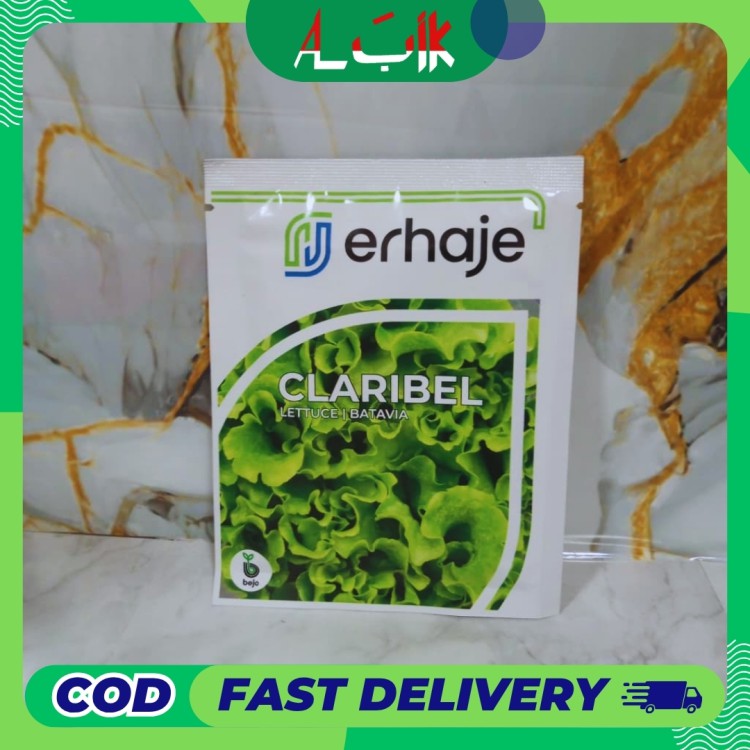 Benih Selada Claribel Bejo Seed 1000