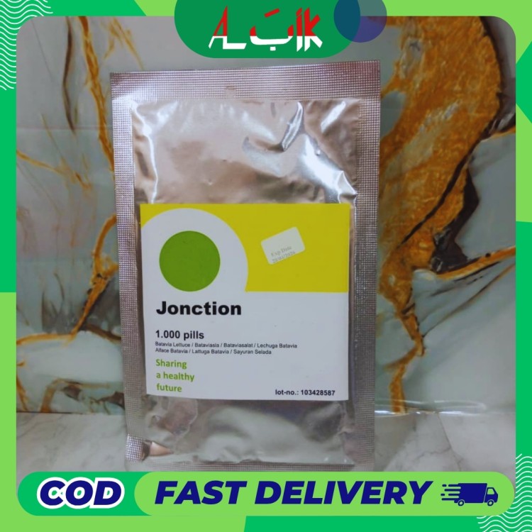 Benih Selada Jonction RZ 1000