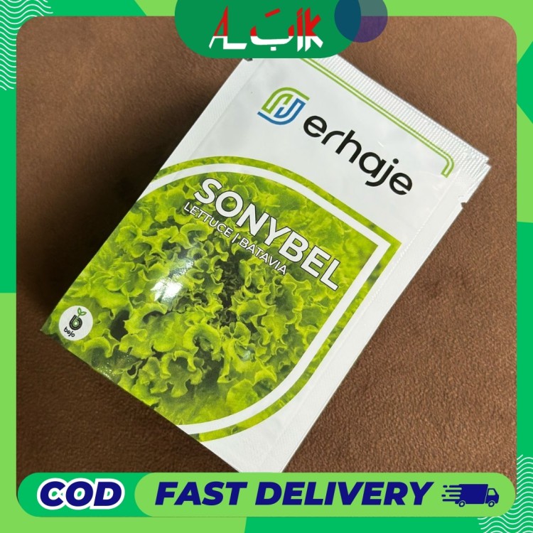 Benih Selada Sonybel Bejo Seed 1g